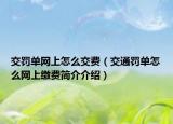 交罰單網(wǎng)上怎么交費(fèi)（交通罰單怎么網(wǎng)上繳費(fèi)簡介介紹）