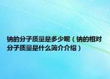 鈉的分子質量是多少呢（鈉的相對分子質量是什么簡介介紹）