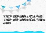 甘肅云科智能科技有限公司怎么樣介紹(甘肅云科智能科技有限公司怎么樣詳細情況如何)