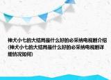 神犬小七的大結局是什么好的必采納電視劇介紹(神犬小七的大結局是什么好的必采納電視劇詳細情況如何)