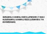 我想說奧特之父和奧特之母是怎么把奧特曼生下來的介紹(我想說奧特之父和奧特之母是怎么把奧特曼生下來的詳細(xì)情況如何)