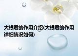 大根君的作用介紹(大根君的作用詳細情況如何)
