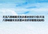 天龍八部峨眉玄攻還是冰攻好介紹(天龍八部峨眉玄攻還是冰攻好詳細(xì)情況如何)