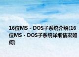 16位MS－DOS子系統(tǒng)介紹(16位MS－DOS子系統(tǒng)詳細(xì)情況如何)