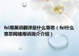 fzl用英語翻譯是什么意思（fzl什么意思網(wǎng)絡(luò)用語簡介介紹）