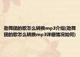 勁舞團(tuán)的歌怎么轉(zhuǎn)換mp3介紹(勁舞團(tuán)的歌怎么轉(zhuǎn)換mp3詳細(xì)情況如何)