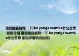 誰能給我解釋一下(ba yonga wamba什么意思 謝啦介紹 誰能給我解釋一下 ba yonga wamba什么意思 謝啦詳細(xì)情況如何)