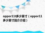 oppor11t多少英寸（oppor11多少英寸簡(jiǎn)介介紹）