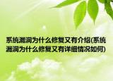 系統(tǒng)漏洞為什么修復(fù)又有介紹(系統(tǒng)漏洞為什么修復(fù)又有詳細(xì)情況如何)