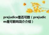 prejudice是否可數(shù)（prejudices是可數(shù)嗎簡介介紹）