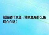 鰩魚是什么魚（螗鲺魚是什么魚簡介介紹）