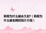 莉哥為什么被永久封?（莉哥為什么被全網(wǎng)封簡介介紹）