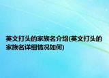 英文打頭的家族名介紹(英文打頭的家族名詳細情況如何)
