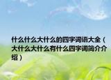 什么什么大什么的四字詞語大全（大什么大什么有什么四字詞簡介介紹）