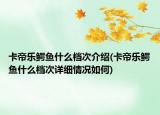 卡帝樂鱷魚什么檔次介紹(卡帝樂鱷魚什么檔次詳細情況如何)