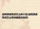 吉阿婆麻辣燙怎么樣介紹(吉阿婆麻辣燙怎么樣詳細情況如何)