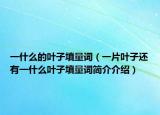 一什么的葉子填量詞（一片葉子還有一什么葉子填量詞簡介介紹）