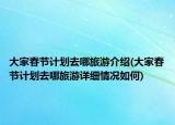 大家春節(jié)計劃去哪旅游介紹(大家春節(jié)計劃去哪旅游詳細情況如何)
