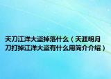 天刀江洋大盜掉落什么（天涯明月刀打掉江洋大盜有什么用簡介介紹）