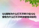 QQ寵物為什么打不開(kāi)啊介紹(QQ寵物為什么打不開(kāi)啊詳細(xì)情況如何)