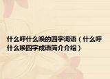 什么呼什么喚的四字詞語（什么呼什么喚四字成語簡(jiǎn)介介紹）