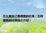 怎么查自己是哪里的社保（怎樣查我的社保簡(jiǎn)介介紹）