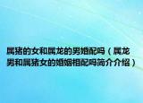 屬豬的女和屬龍的男婚配嗎（屬龍男和屬豬女的婚姻相配嗎簡(jiǎn)介介紹）