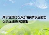 摩爾莊園怎么玩介紹(摩爾莊園怎么玩詳細情況如何)