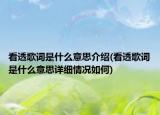 看透歌詞是什么意思介紹(看透歌詞是什么意思詳細(xì)情況如何)