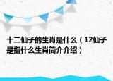 十二仙子的生肖是什么（12仙子是指什么生肖簡(jiǎn)介介紹）