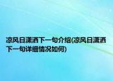 涼風(fēng)日瀟灑下一句介紹(涼風(fēng)日瀟灑下一句詳細(xì)情況如何)