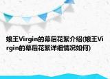 娘王Virgin的幕后花絮介紹(娘王Virgin的幕后花絮詳細(xì)情況如何)