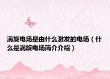 渦旋電場是由什么激發(fā)的電場（什么是渦旋電場簡介介紹）