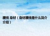 腰線 身材（身材腰線是什么簡介介紹）