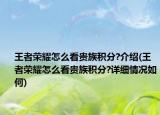 王者榮耀怎么看貴族積分?介紹(王者榮耀怎么看貴族積分?詳細(xì)情況如何)