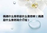 偶遇什么意思是什么意思?。ㄅ加鍪鞘裁匆馑己?jiǎn)介介紹）