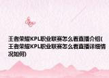 王者榮耀KPL職業(yè)聯(lián)賽怎么看直播介紹(王者榮耀KPL職業(yè)聯(lián)賽怎么看直播詳細(xì)情況如何)