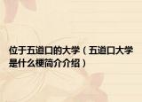 位于五道口的大學(xué)（五道口大學(xué)是什么梗簡(jiǎn)介介紹）