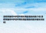 洛奇英雄傳中伊菲玲瓏玫瑰套裝的問題介紹(洛奇英雄傳中伊菲玲瓏玫瑰套裝的問題詳細(xì)情況如何)