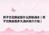 君子蘭花換盆后什么時候澆水（君子蘭換盆后多久澆水簡介介紹）