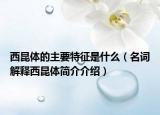 西昆體的主要特征是什么（名詞解釋西昆體簡介介紹）