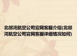 北部灣航空公司官網(wǎng)客服介紹(北部灣航空公司官網(wǎng)客服詳細(xì)情況如何)