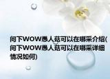 問下WOW愚人菇可以在哪采介紹(問下WOW愚人菇可以在哪采詳細情況如何)