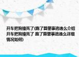 開車把狗撞死了(跑了算肇事逃逸么介紹 開車把狗撞死了 跑了算肇事逃逸么詳細(xì)情況如何)