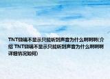 TNT微端不顯示只能聽到聲音為什么啊啊啊(介紹 TNT微端不顯示只能聽到聲音為什么啊啊啊 詳細(xì)情況如何)