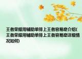王者榮耀用輔助單排上王者容易麼介紹(王者榮耀用輔助單排上王者容易麼詳細(xì)情況如何)