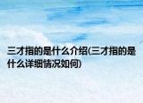 三才指的是什么介紹(三才指的是什么詳細情況如何)