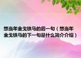 想當(dāng)年金戈鐵馬的后一句（想當(dāng)年金戈鐵馬的下一句是什么簡(jiǎn)介介紹）