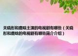 關曉彤和鹿晗主演的電視劇有哪些（關曉彤和鹿晗的電視劇有哪些簡介介紹）