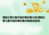 海賊王第幾集開始好看好看介紹(海賊王第幾集開始好看好看詳細情況如何)